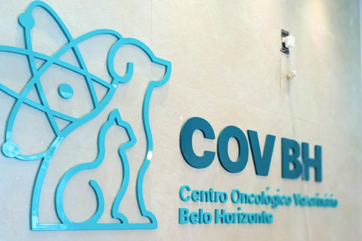 COV Belo Horizonte in Belo Horizonte, Brazil