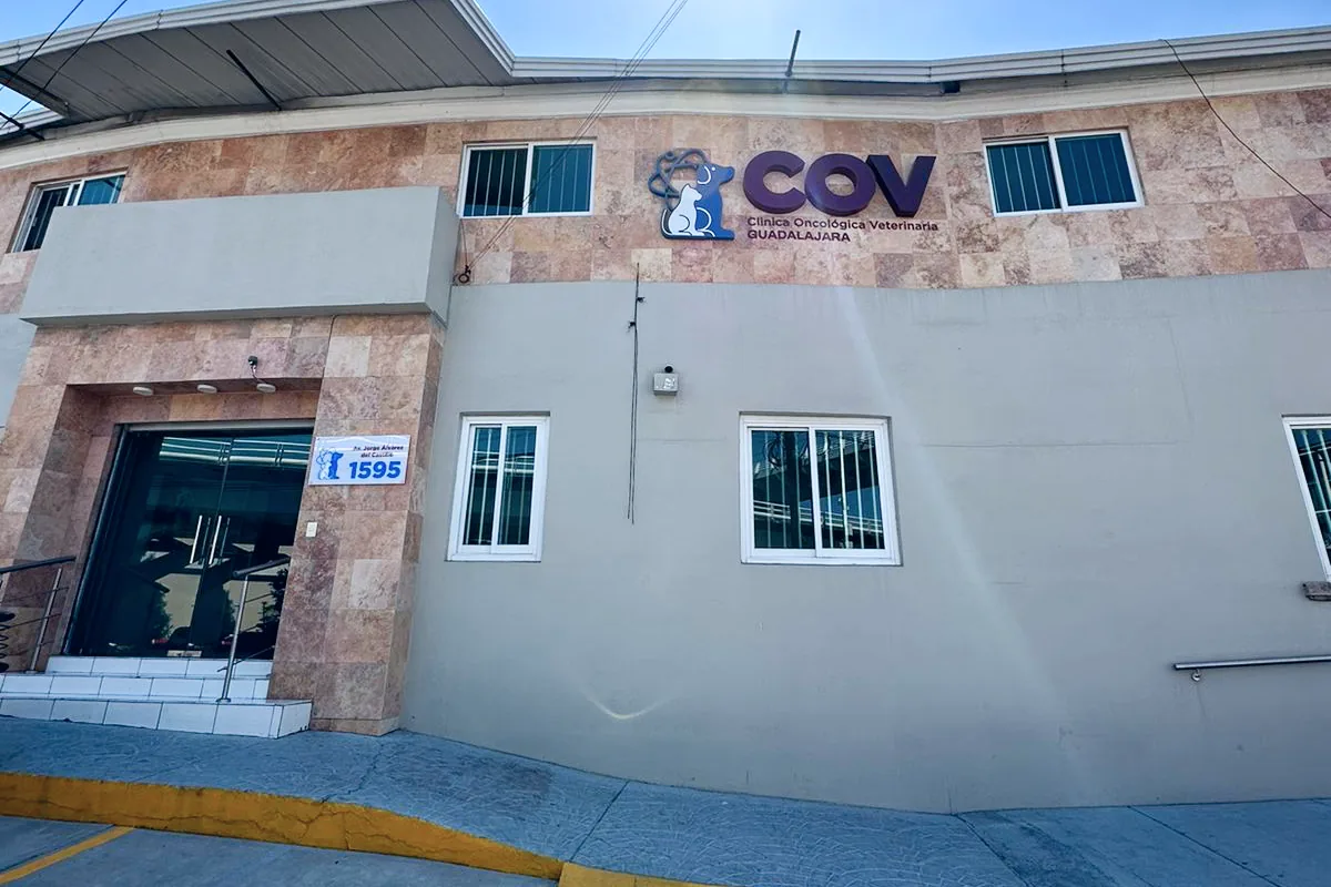 COV Guadalajara in Guadalajara, Mexico