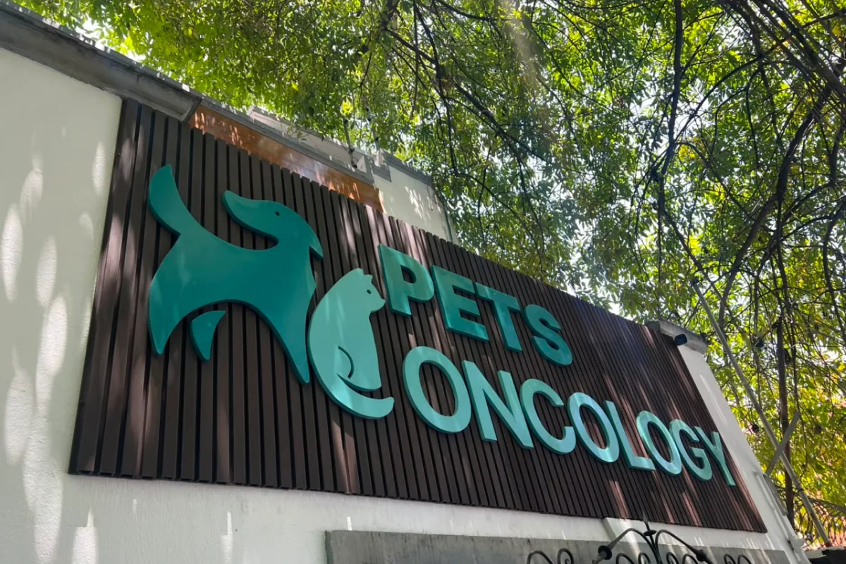 Pets Oncology in Mexico City, Mexico